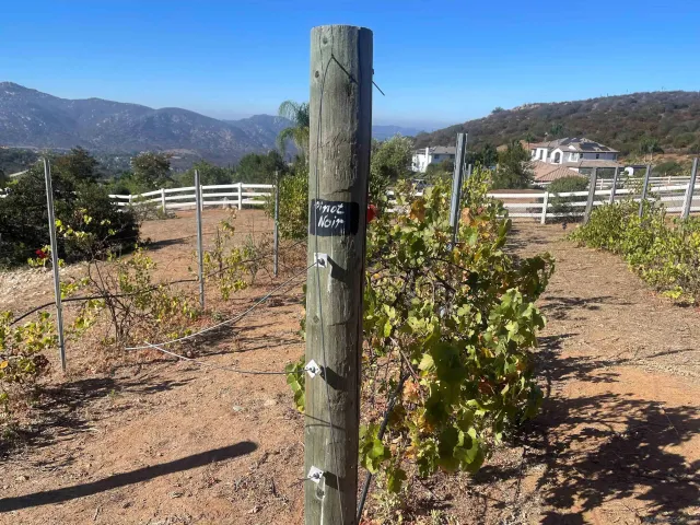 $2,049,500 | 15068 Creek Hills Road, El Cajon, CA 92021