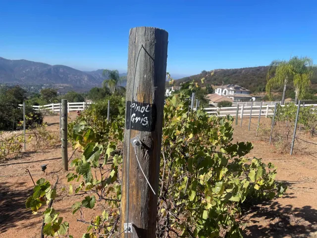 $2,049,500 | 15068 Creek Hills Road, El Cajon, CA 92021