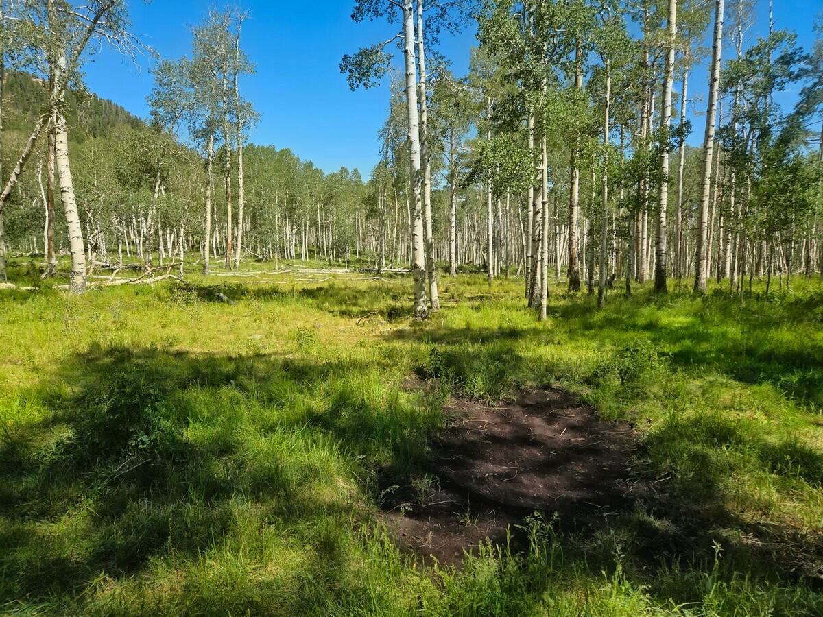 40 Acres Summit Mountain Road Brian Head, UT 84719 - Photo 18 of 32 Of the Property15