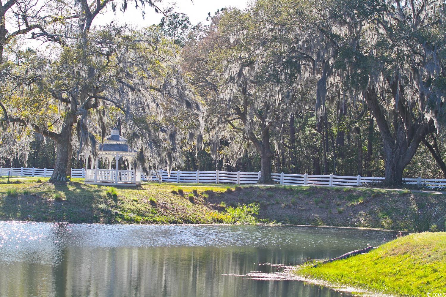 712 Belle Rive Road Georgetown, SC 29440 - Photo 6 of 40