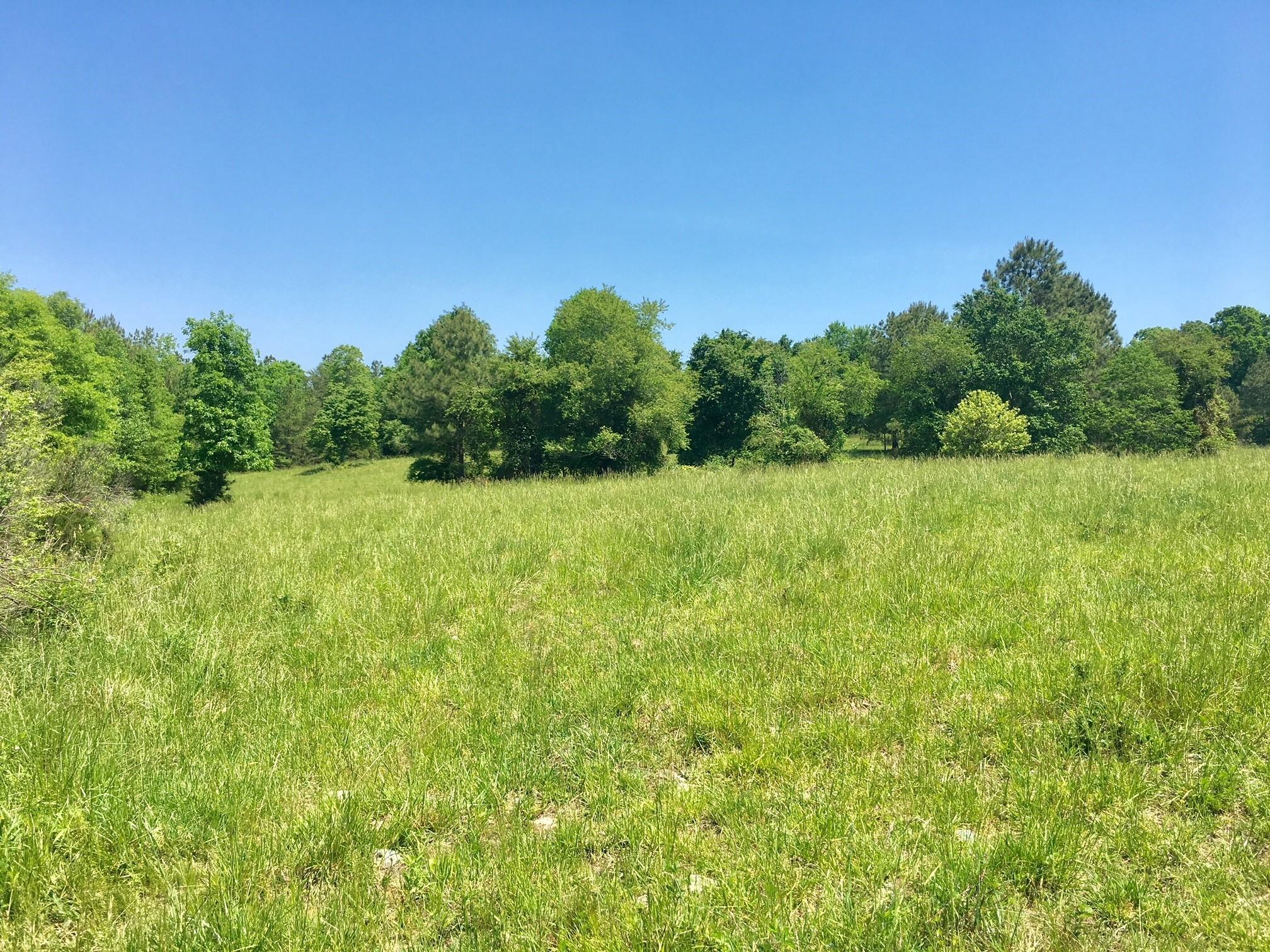 246 Providence Chapel Road Robbins, NC 27325 - Photo 27 of 35 Grassy Fields with Trees