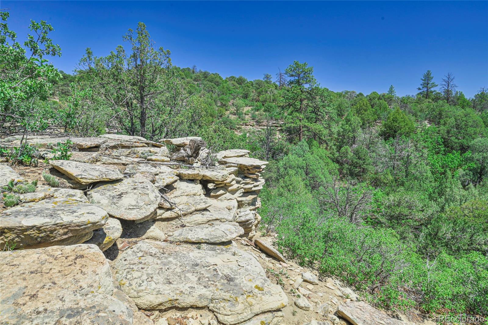 Fishers Peak Ranch Trinidad, CO 81082 - Photo 13 of 32