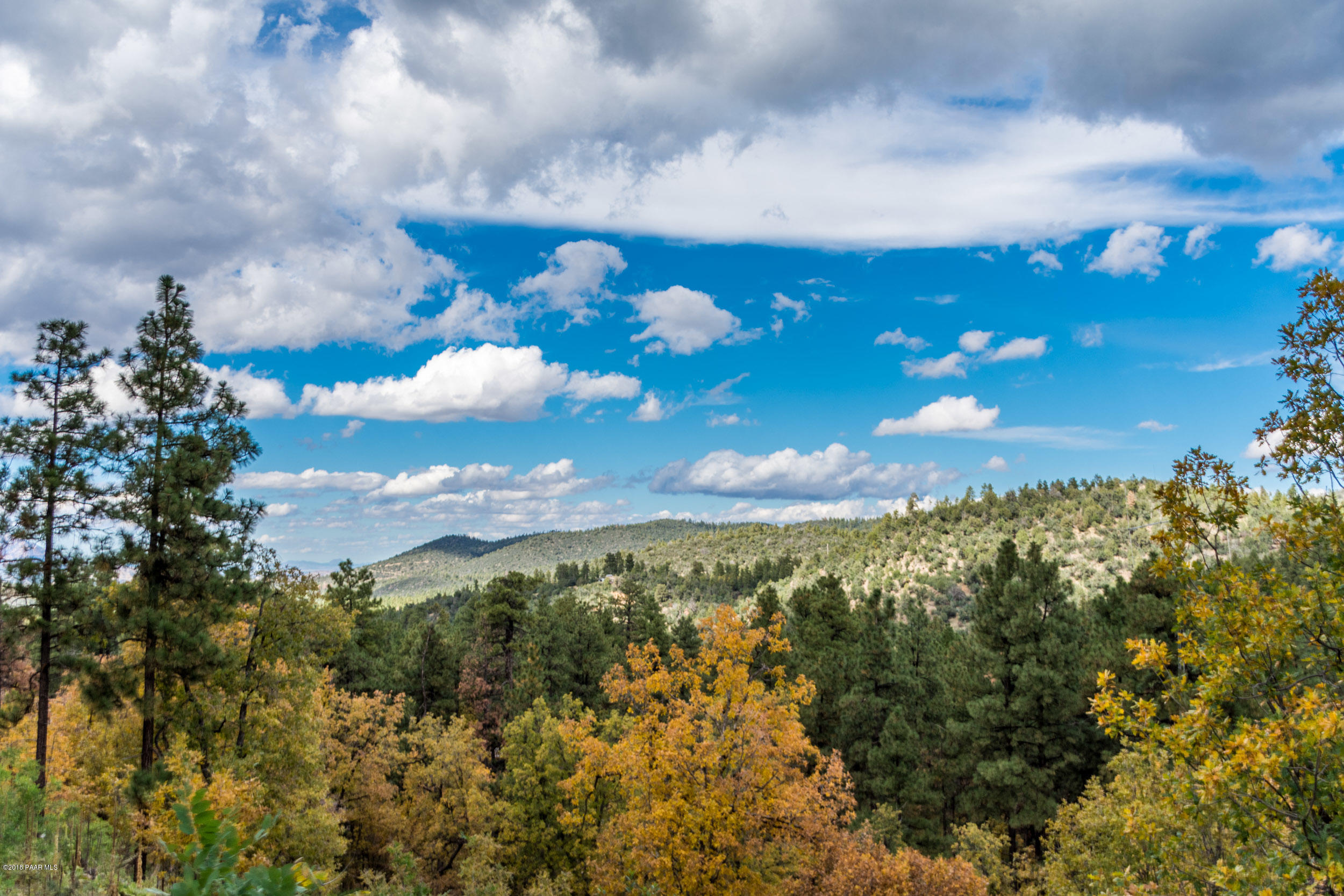 4850 South View Road Prescott, AZ 86303 - Photo 23 of 33 DSC_5493