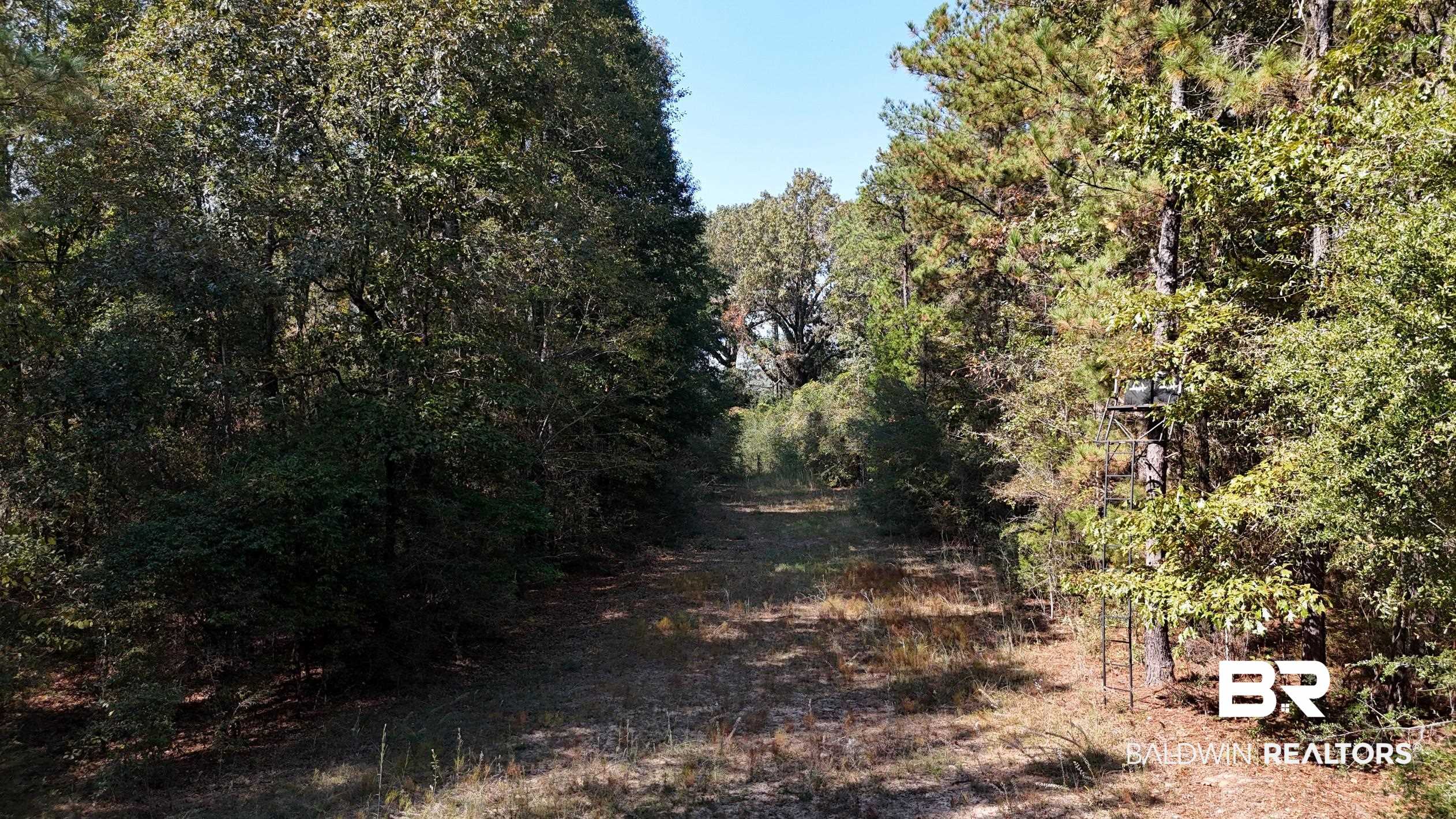 287 Green Road Castleberry, AL 36432 - Photo 28 of 53