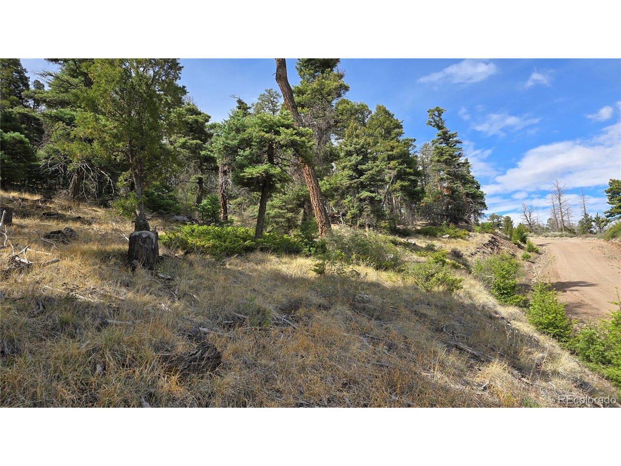 5505 Balleroy Road San Luis, CO 81152 - Photo 21 of 32