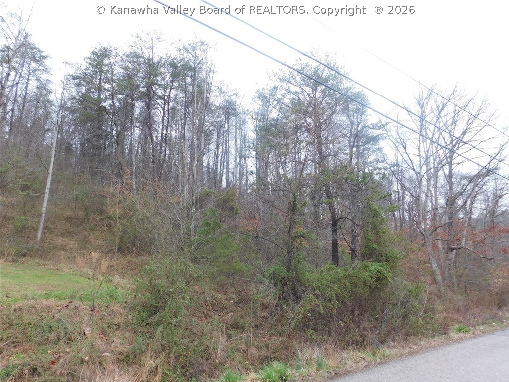 0 Dairy 3 Road Poca, WV 25159 - Photo 1 of 9 Gallery Image 1