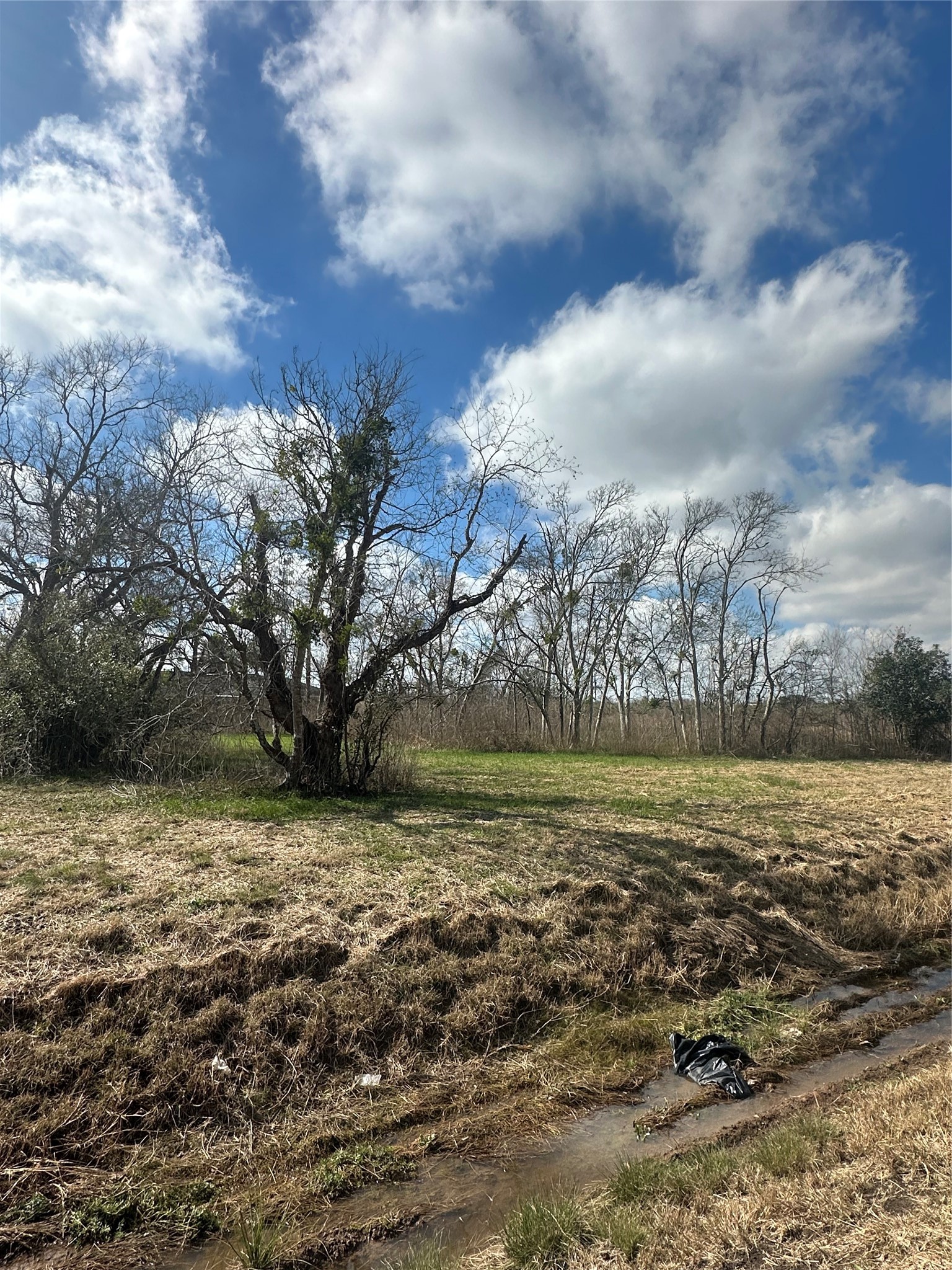 0 South Avenue H Freeport, TX 77541 - Photo 4 of 10 a view of a lake view