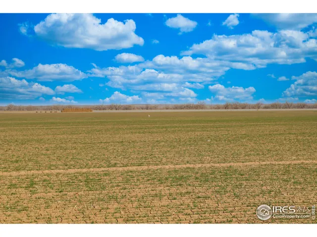 $5,990,000 | 3699 County Road 5, Wiggins, CO 80654