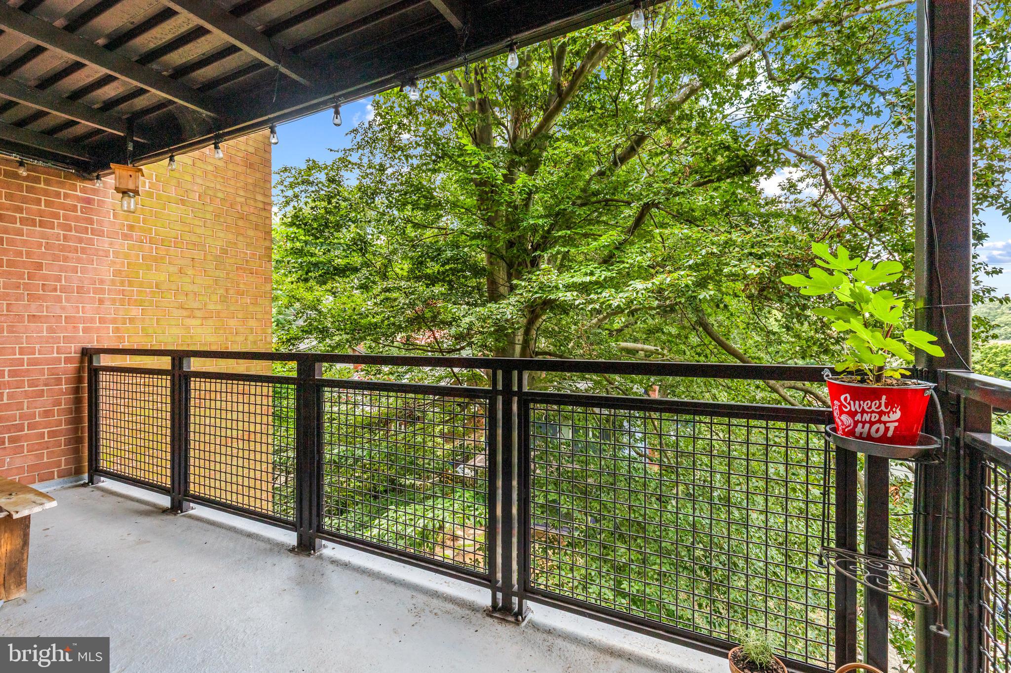 7611 Maple Avenue, Unit 606 Takoma Park, MD 20912 - Photo 9 of 30