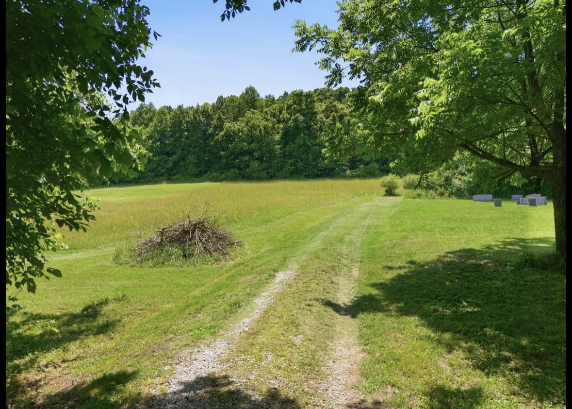 17 Dog Branch Road Pleasant Shade, TN 37145 - Photo 2 of 13