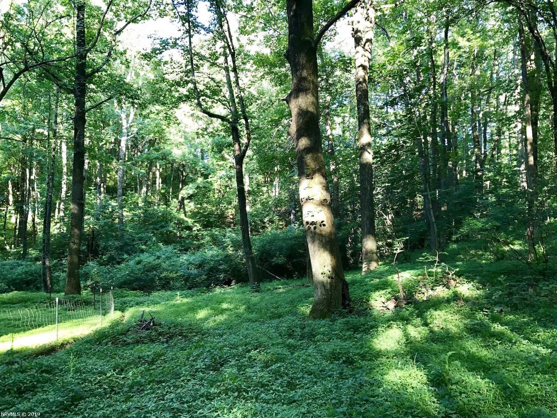 0 Hope Road Southeast Floyd, VA 24091 - Photo 19 of 33 Gallery Image 19