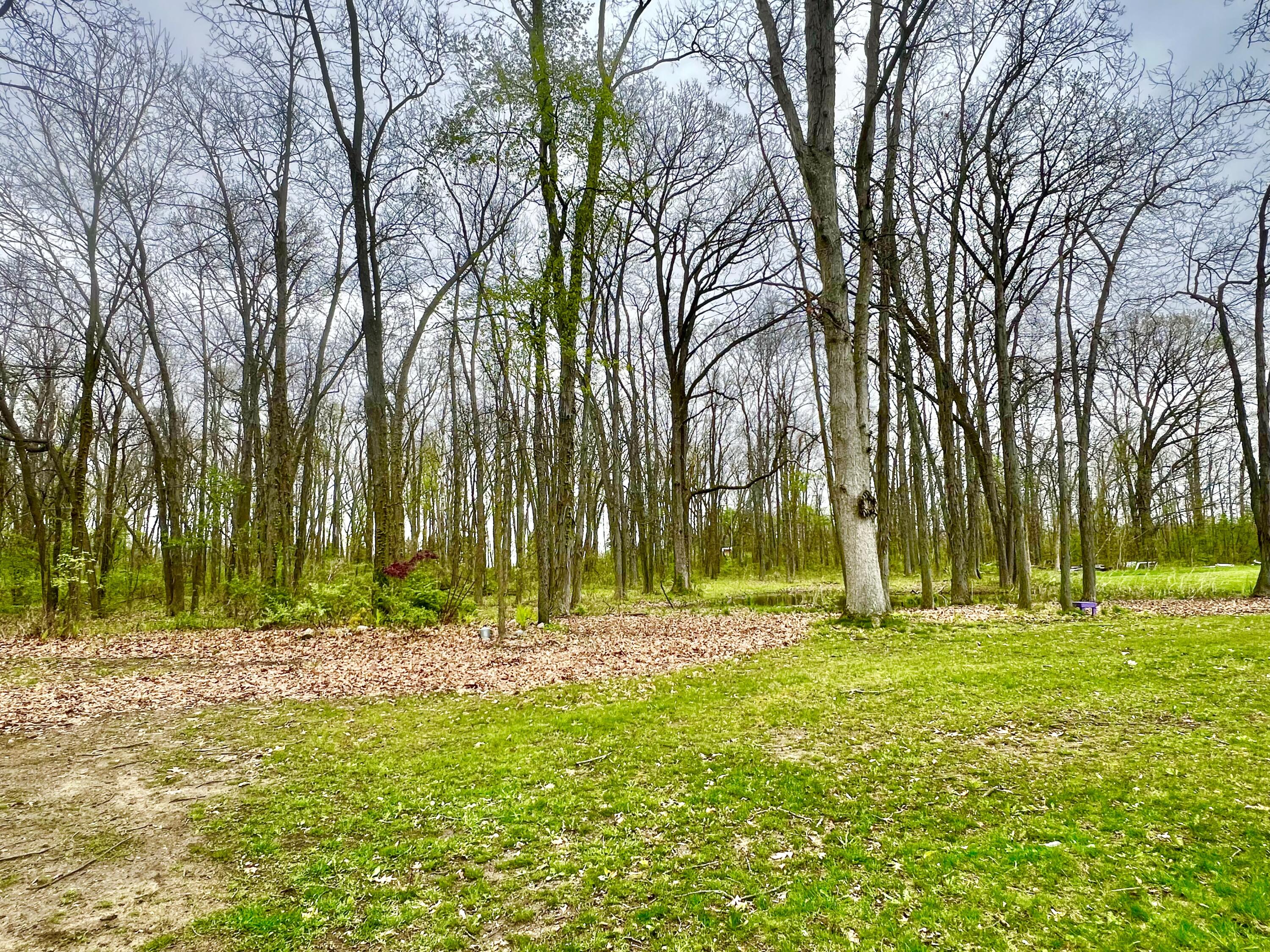 8056 Sawdey Road Jerome, MI 49249 - Photo 22 of 88 IMG_3689
