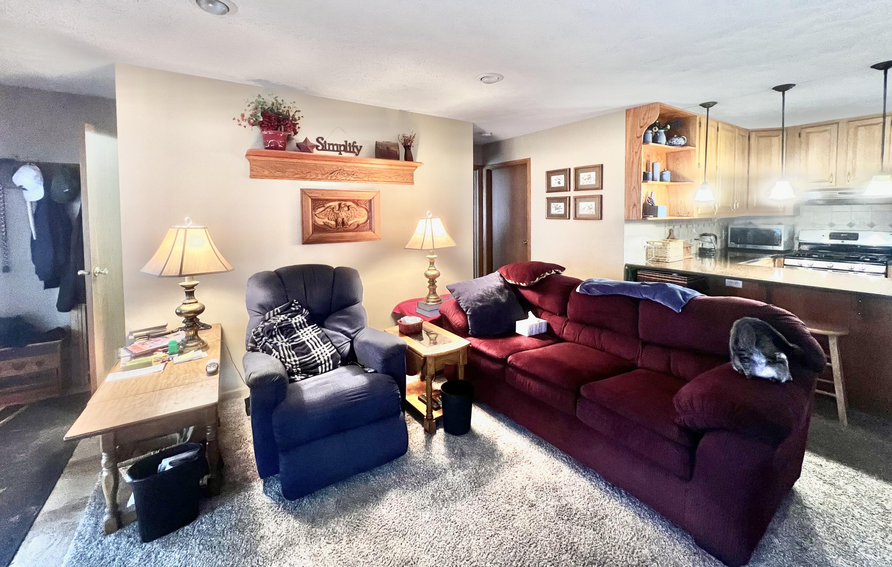 8056 Sawdey Road Jerome, MI 49249 - Photo 50 of 88 IMG_3583