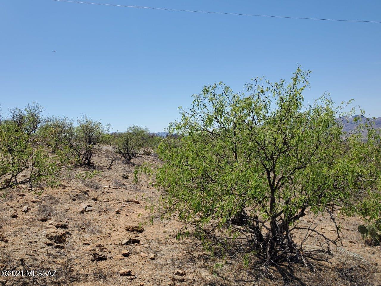 1695 Vía San Cayetano, Unit 7 Rio Rico, AZ 85648 - Photo 20 of 36