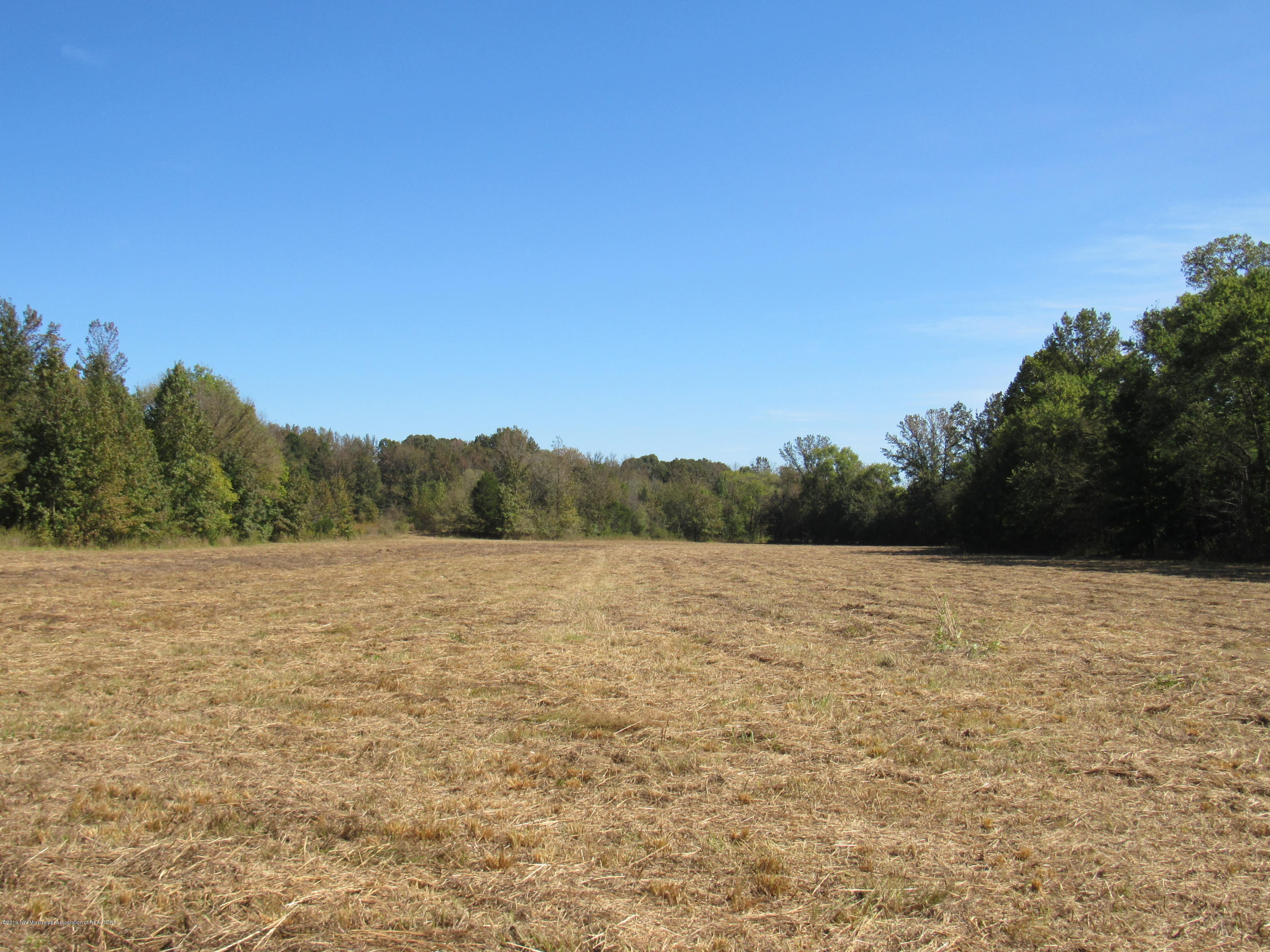 0 Henderson Road Batesville, MS 38606 - Photo 1 of 22 IMG_2448