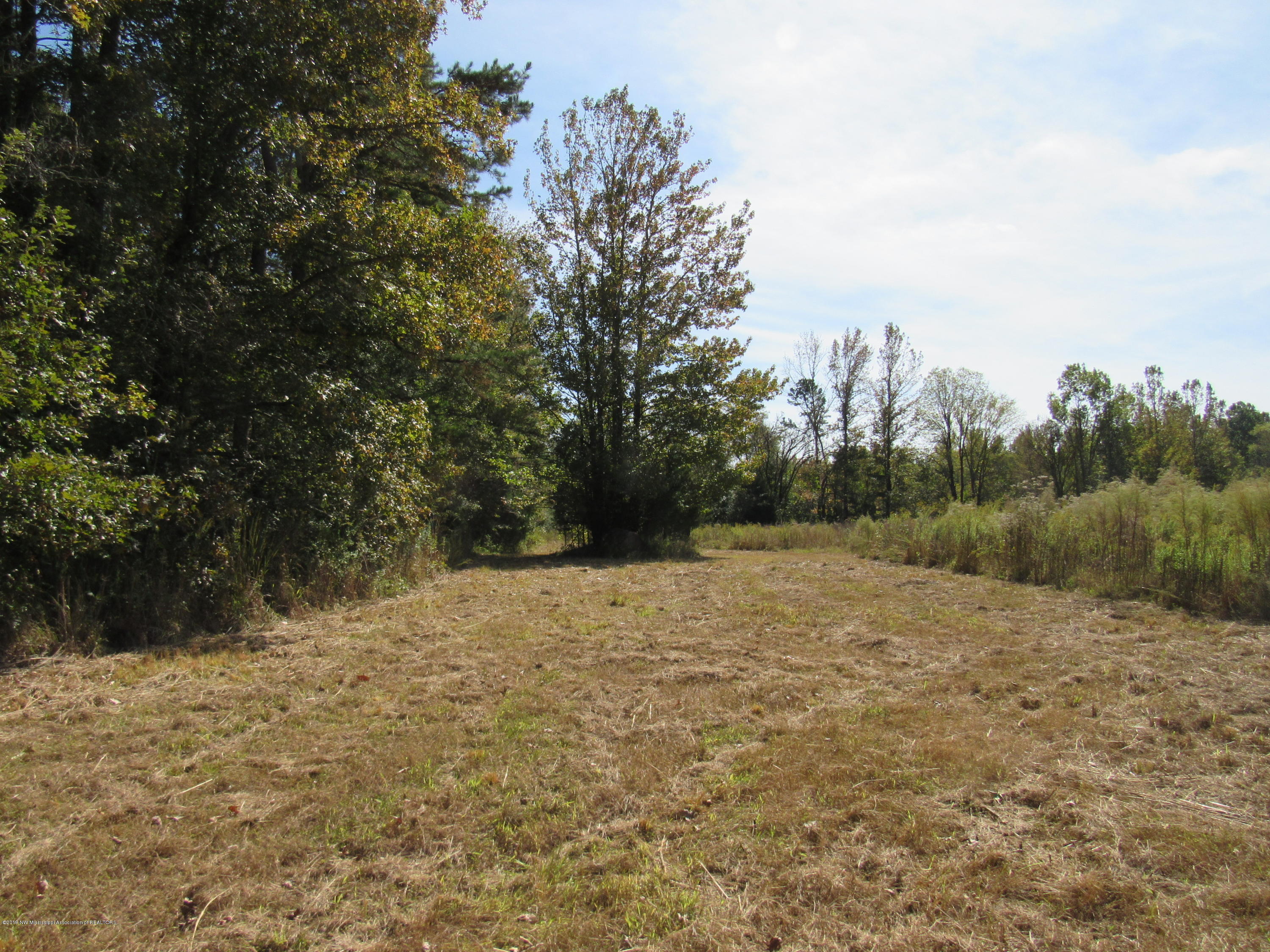 0 Henderson Road Batesville, MS 38606 - Photo 11 of 22 IMG_2461