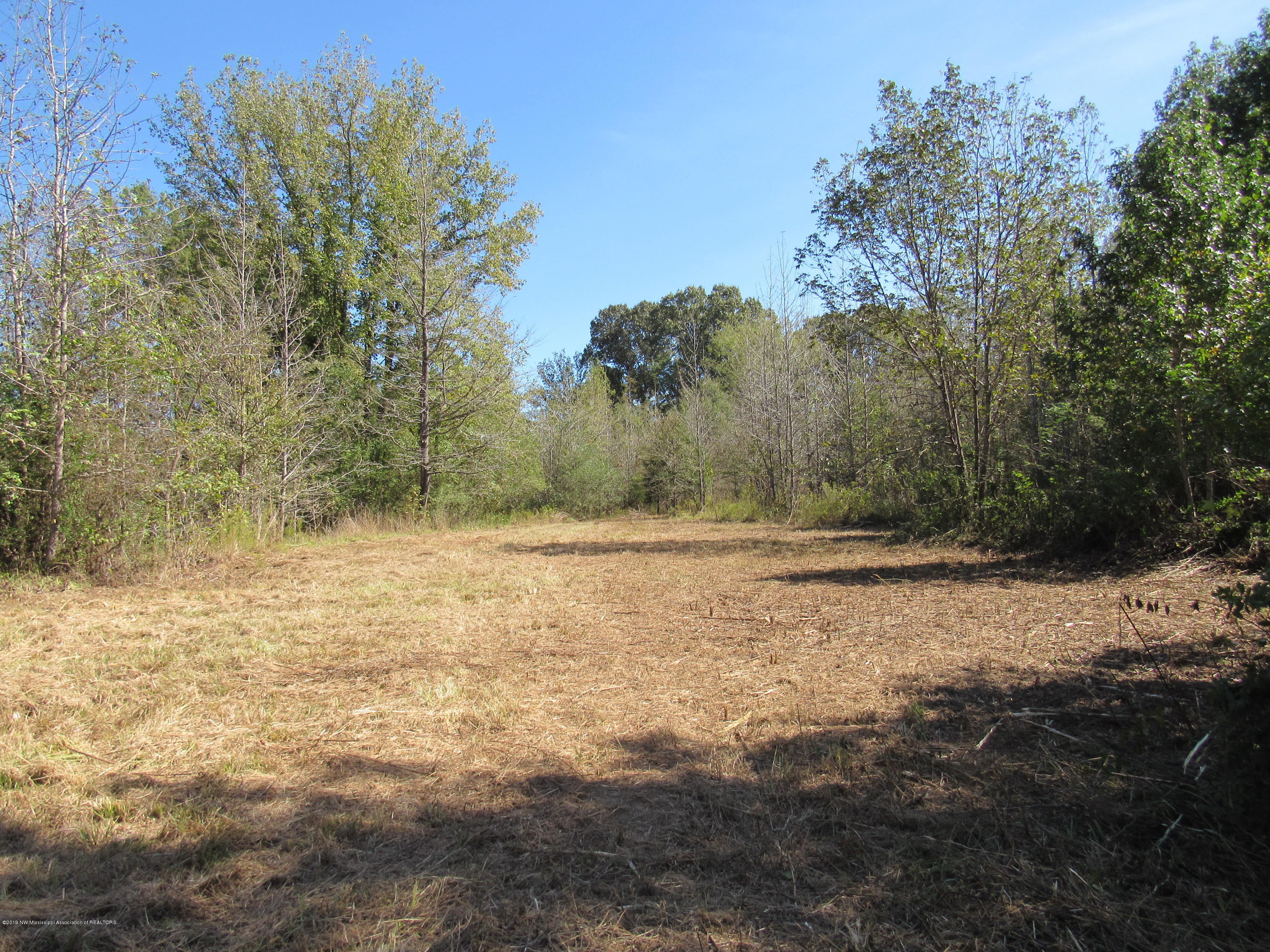 0 Henderson Road Batesville, MS 38606 - Photo 16 of 22 IMG_2468