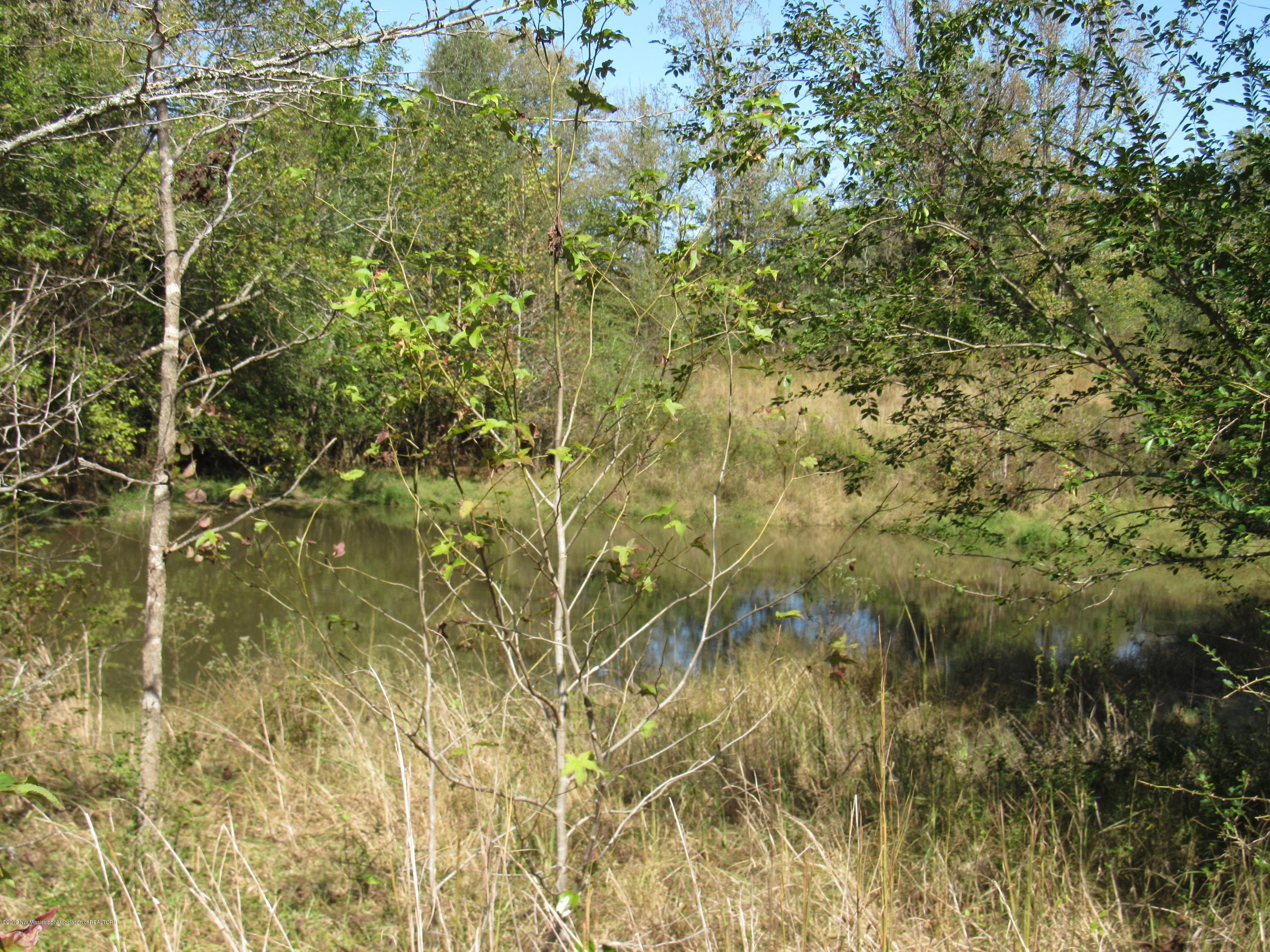 0 Henderson Road Batesville, MS 38606 - Photo 18 of 22 IMG_2471