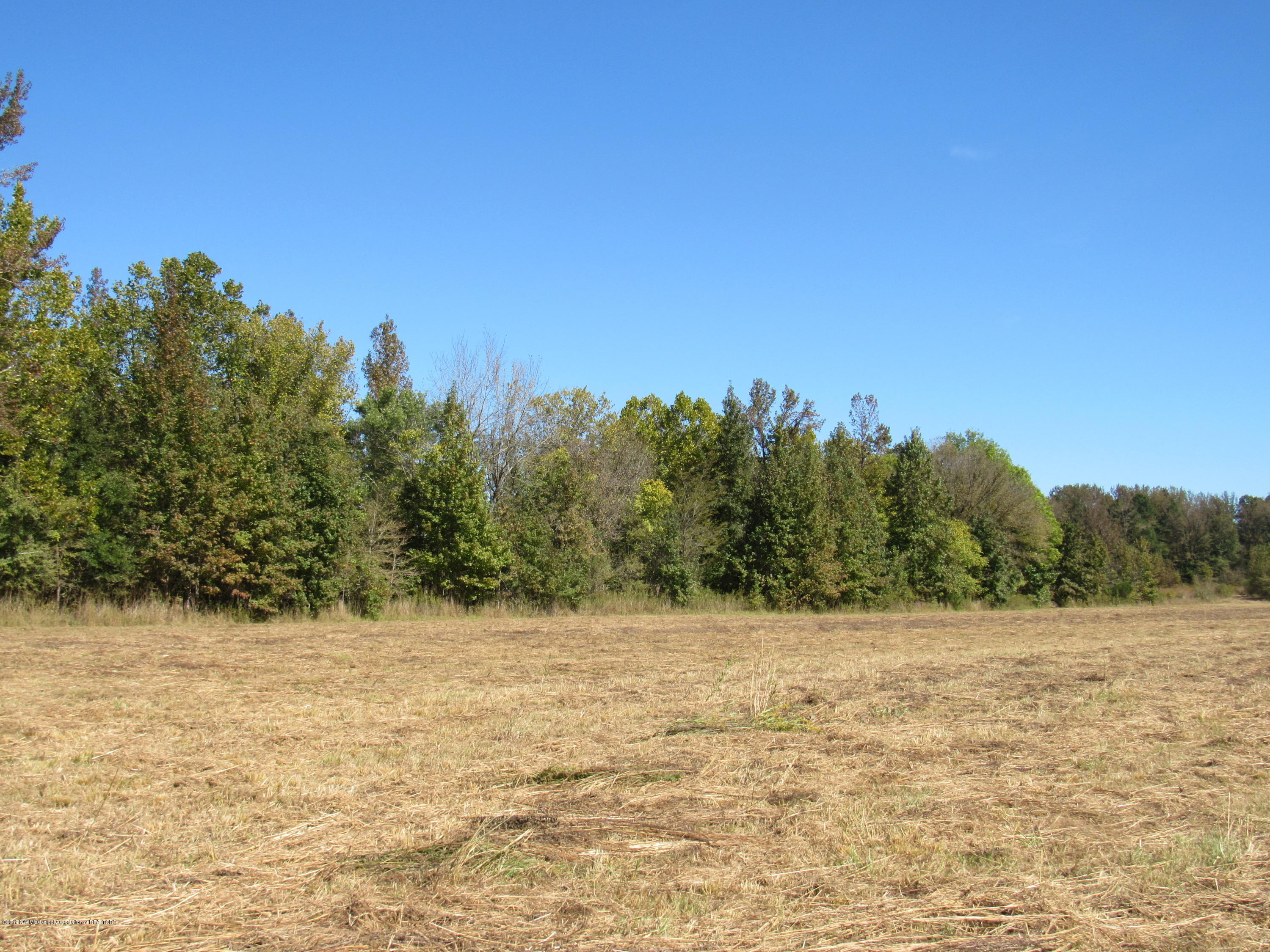 0 Henderson Road Batesville, MS 38606 - Photo 3 of 22 IMG_2450