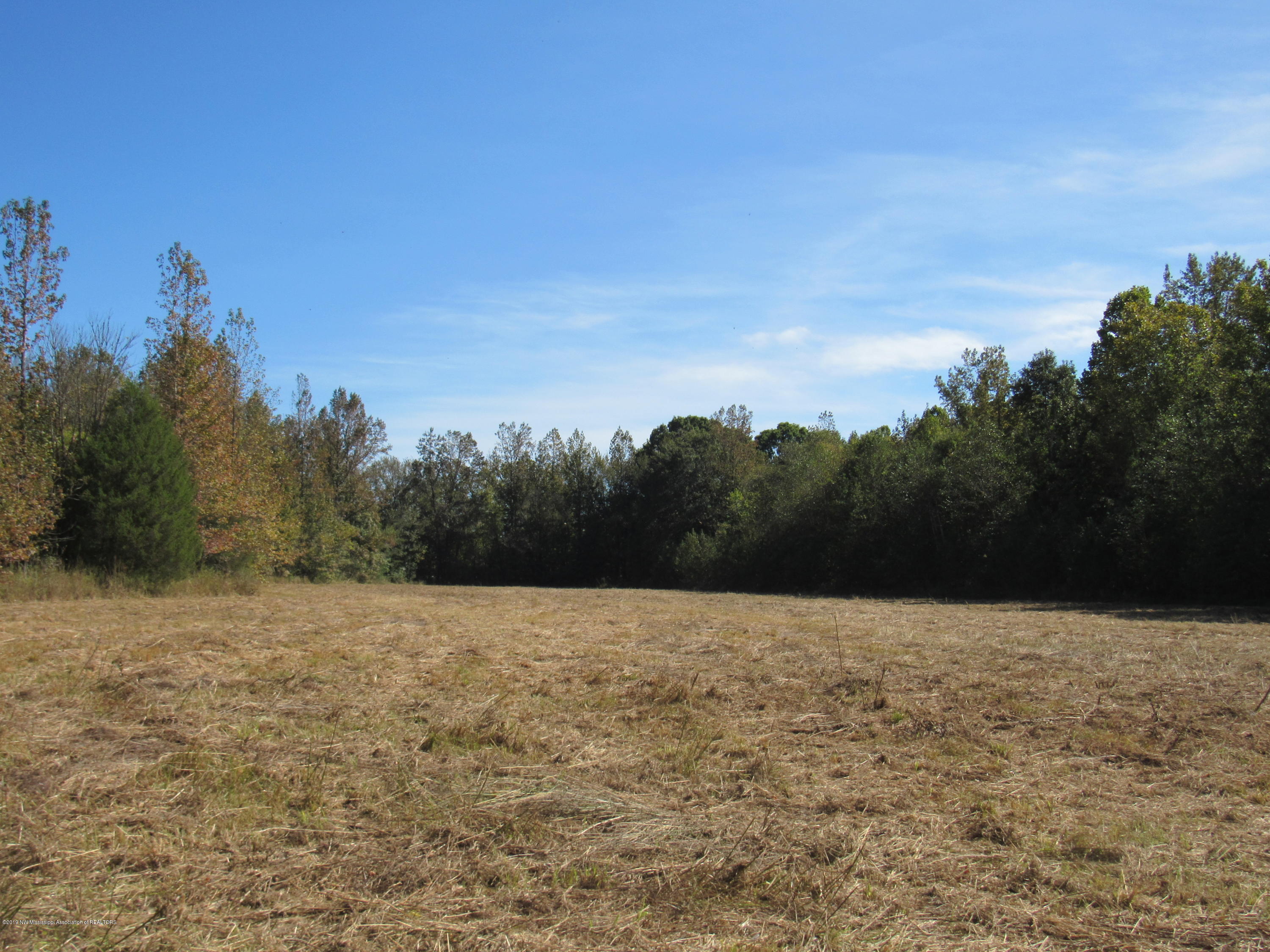 0 Henderson Road Batesville, MS 38606 - Photo 5 of 22 IMG_2452