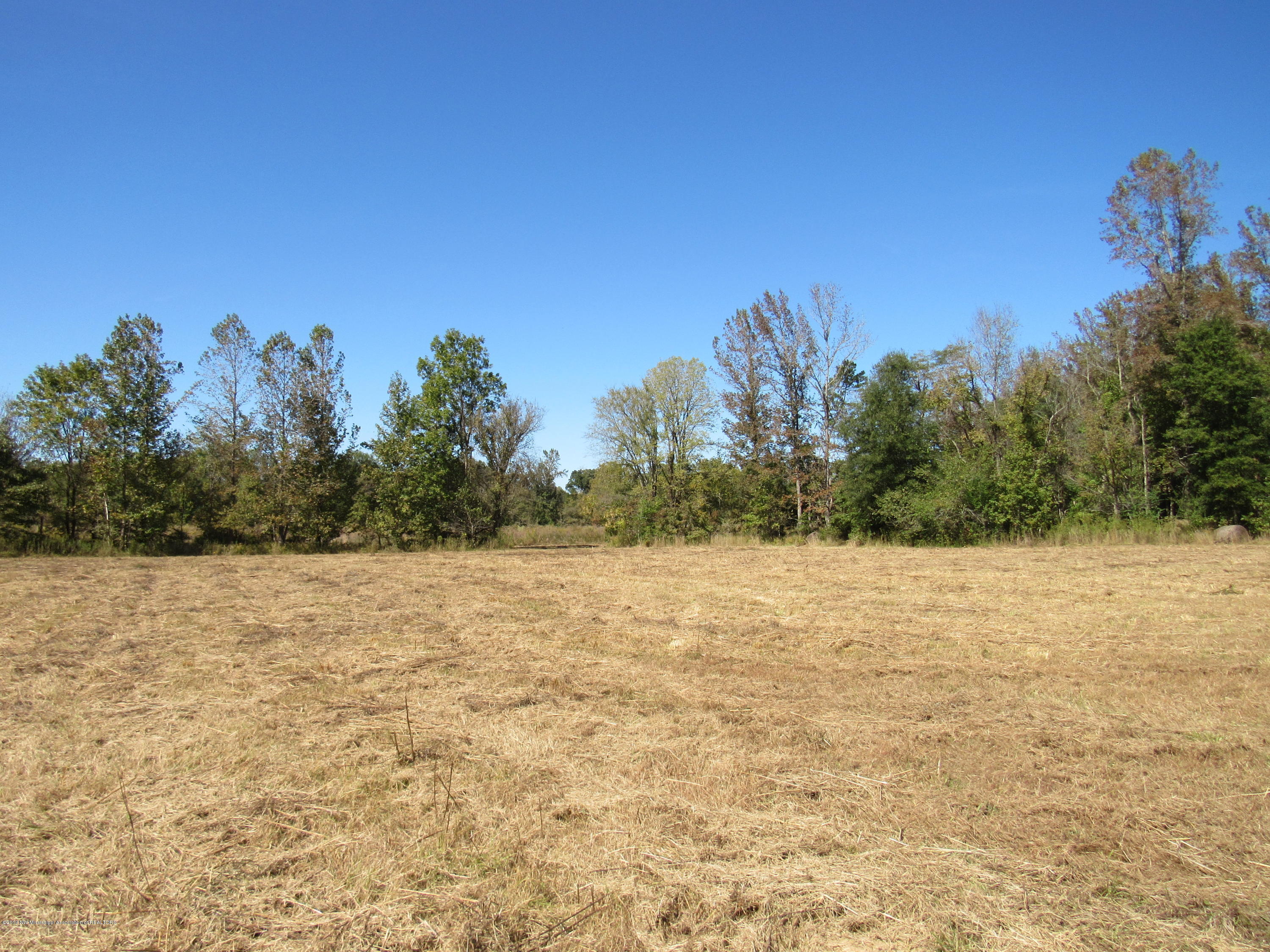 0 Henderson Road Batesville, MS 38606 - Photo 7 of 22 IMG_2456