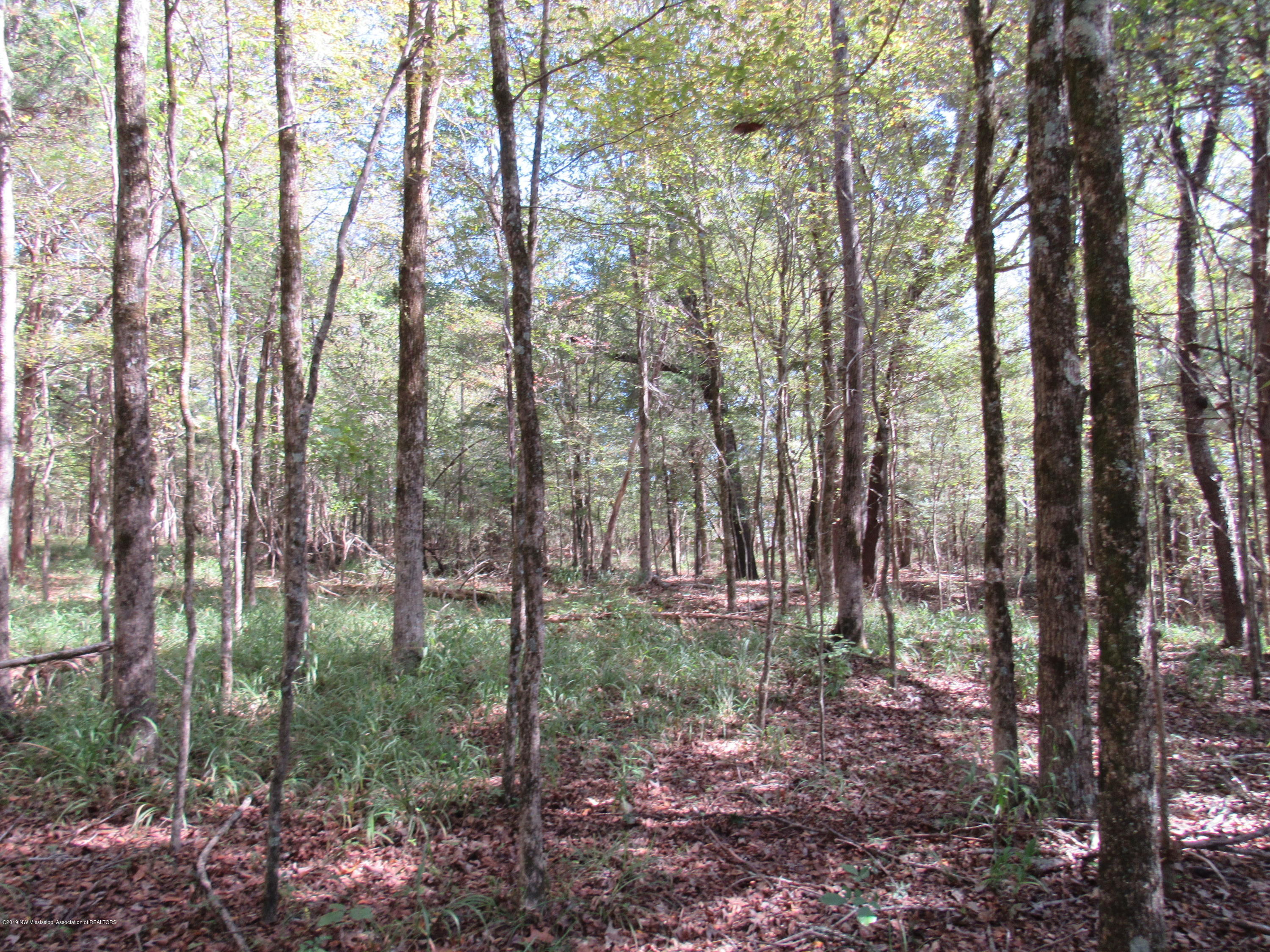 0 Henderson Road Batesville, MS 38606 - Photo 8 of 22 IMG_2458