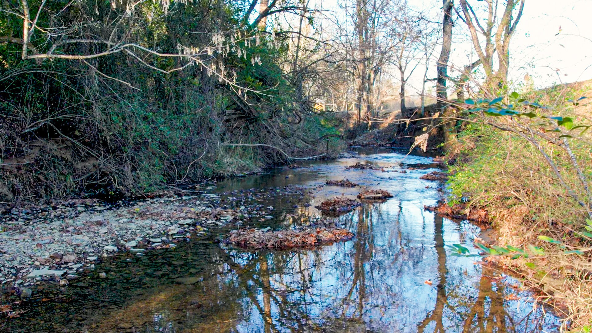 6326 Arno Road Franklin, TN 37064 - Photo 12 of 67 a backyard of a house with lots of green space