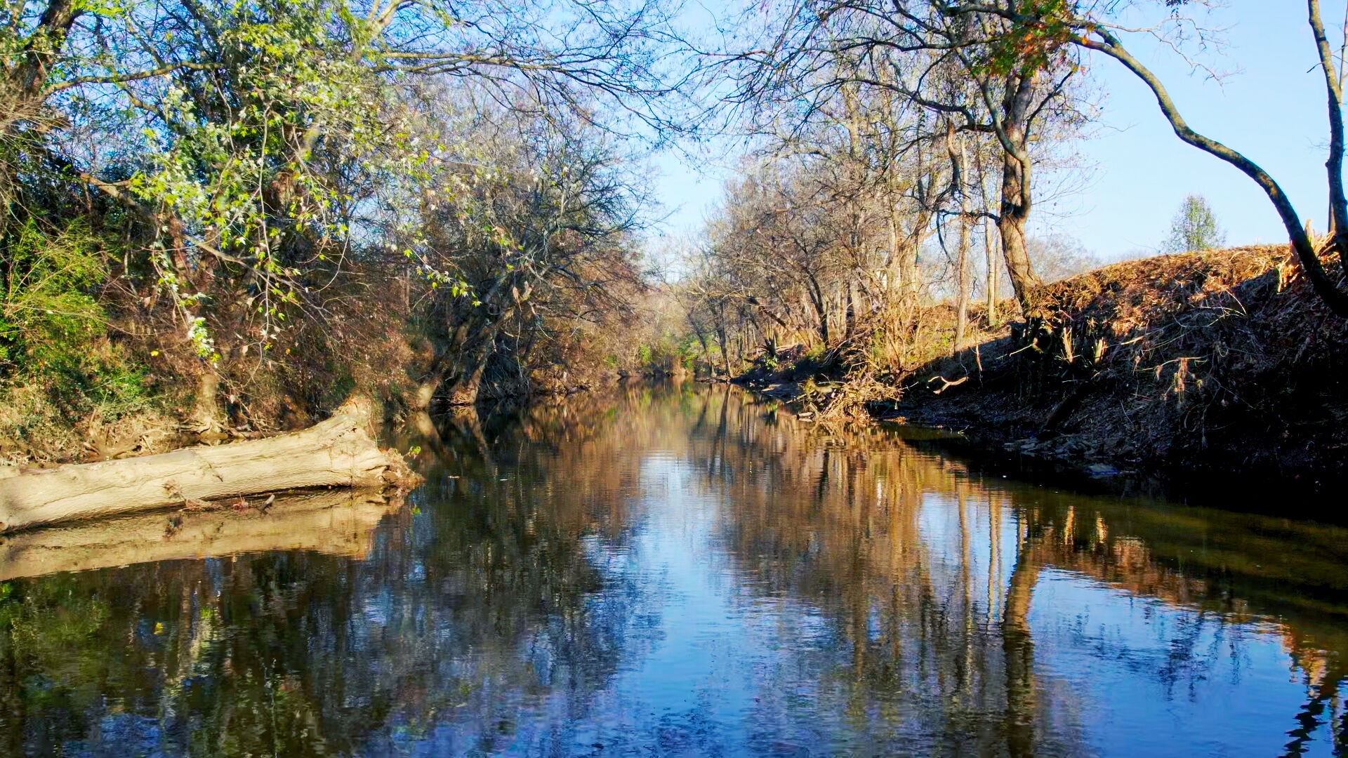 6326 Arno Road Franklin, TN 37064 - Photo 2 of 67