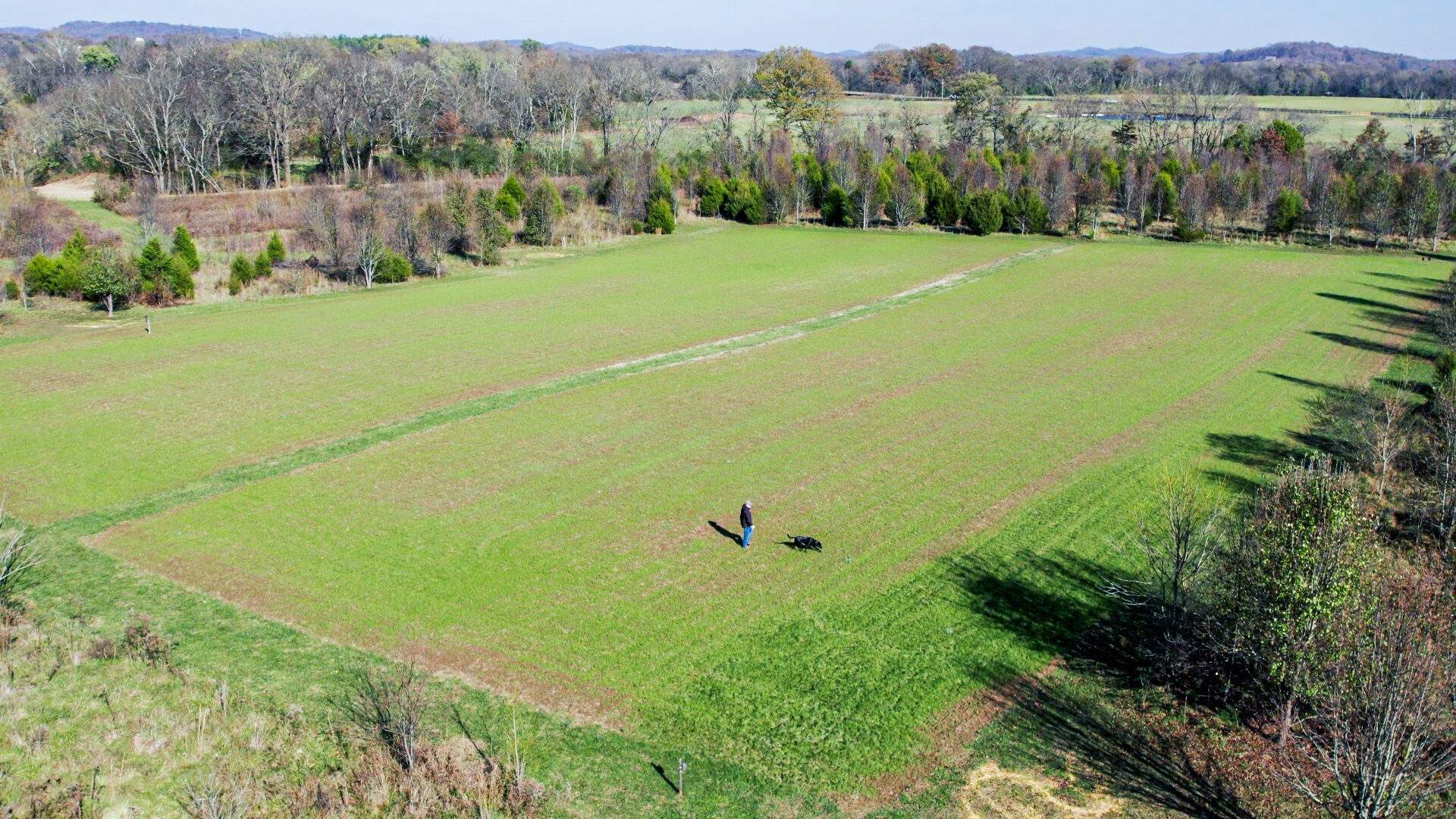 6326 Arno Road Franklin, TN 37064 - Photo 21 of 67