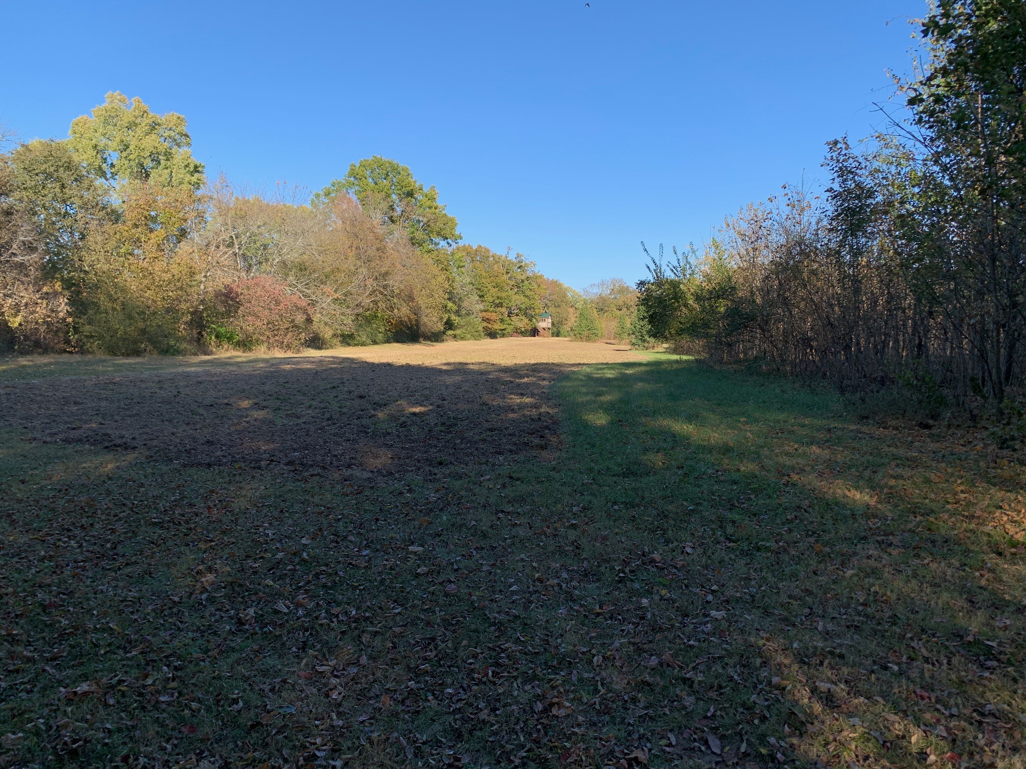 6326 Arno Road Franklin, TN 37064 - Photo 25 of 67