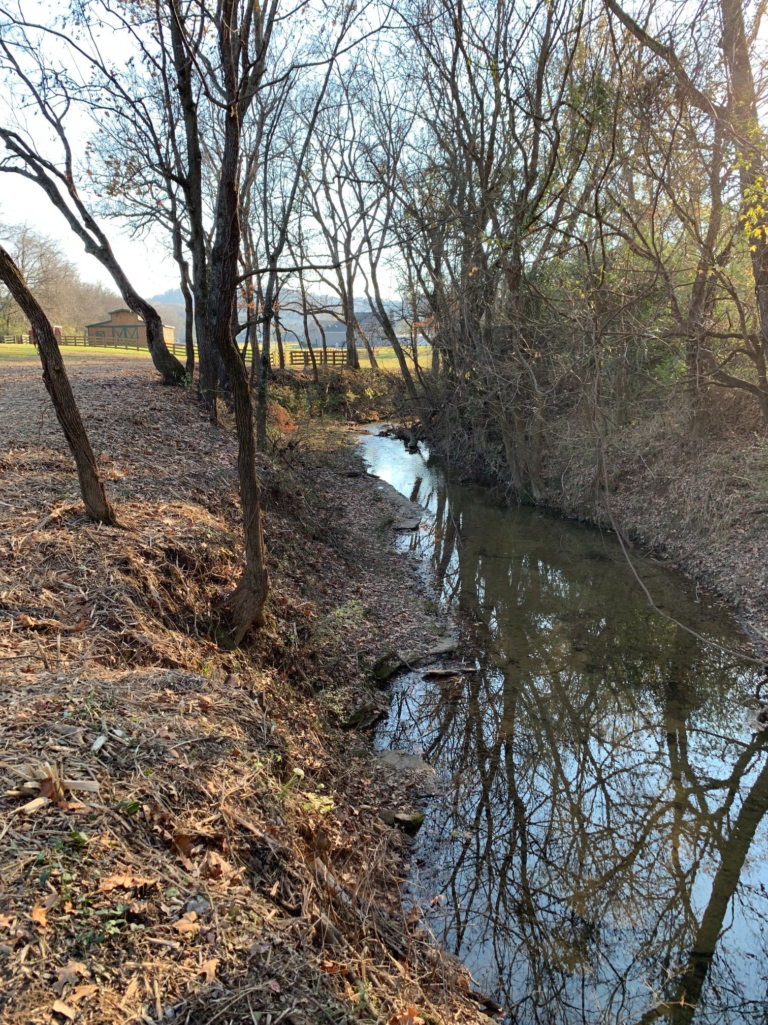 6326 Arno Road Franklin, TN 37064 - Photo 26 of 67