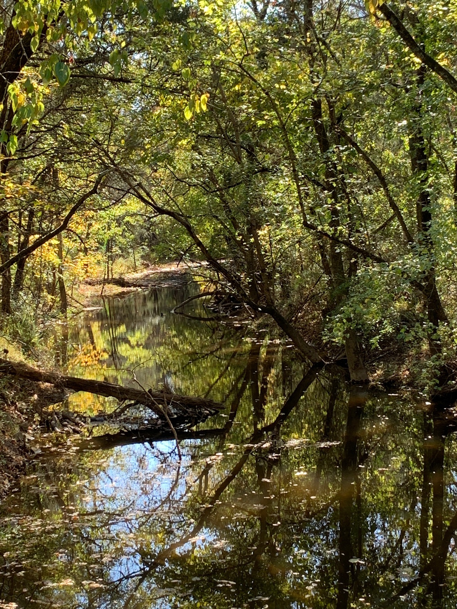 6326 Arno Road Franklin, TN 37064 - Photo 28 of 67