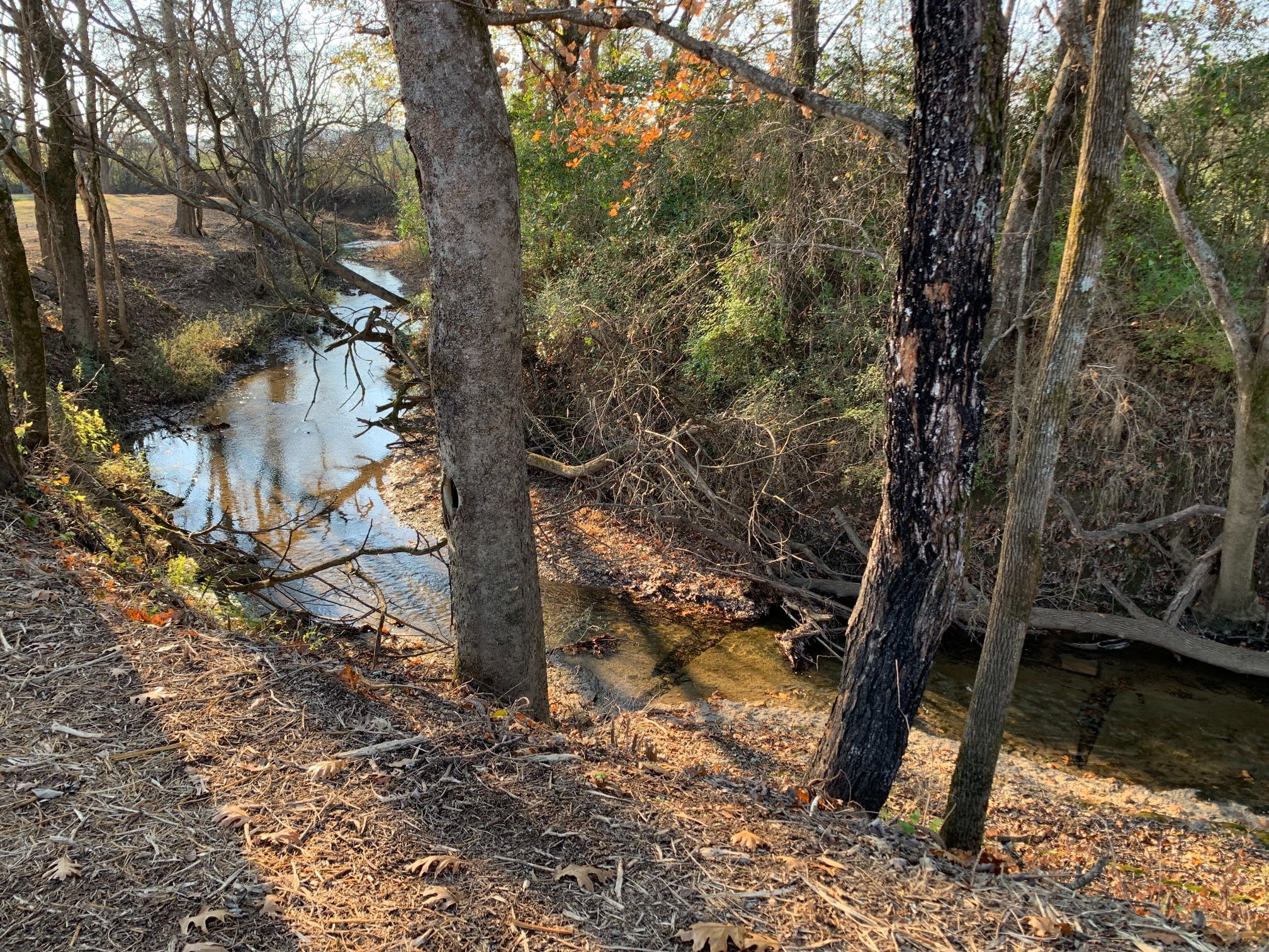 6326 Arno Road Franklin, TN 37064 - Photo 4 of 67