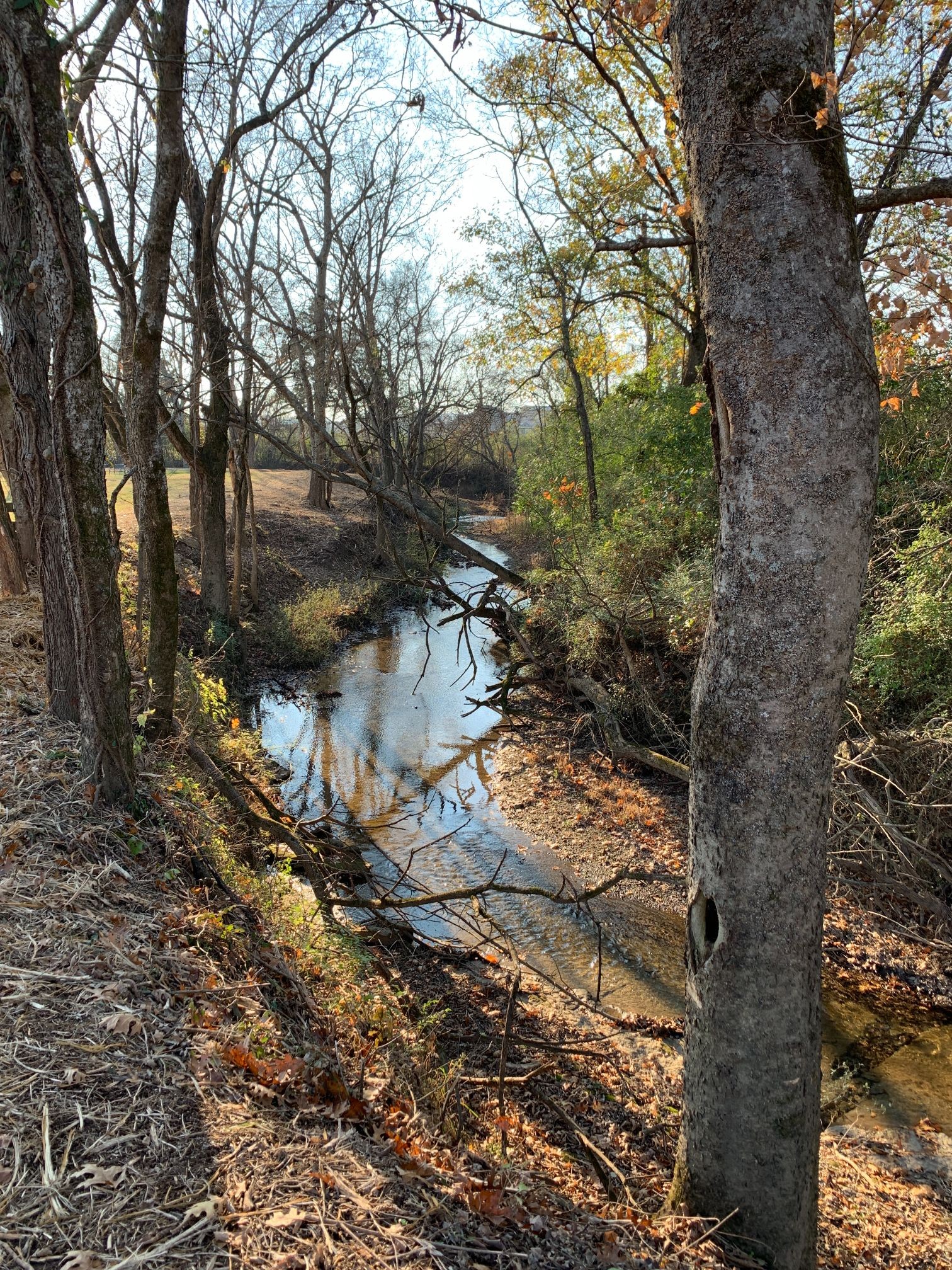 6326 Arno Road Franklin, TN 37064 - Photo 42 of 67 a backyard of a house with lots of green space