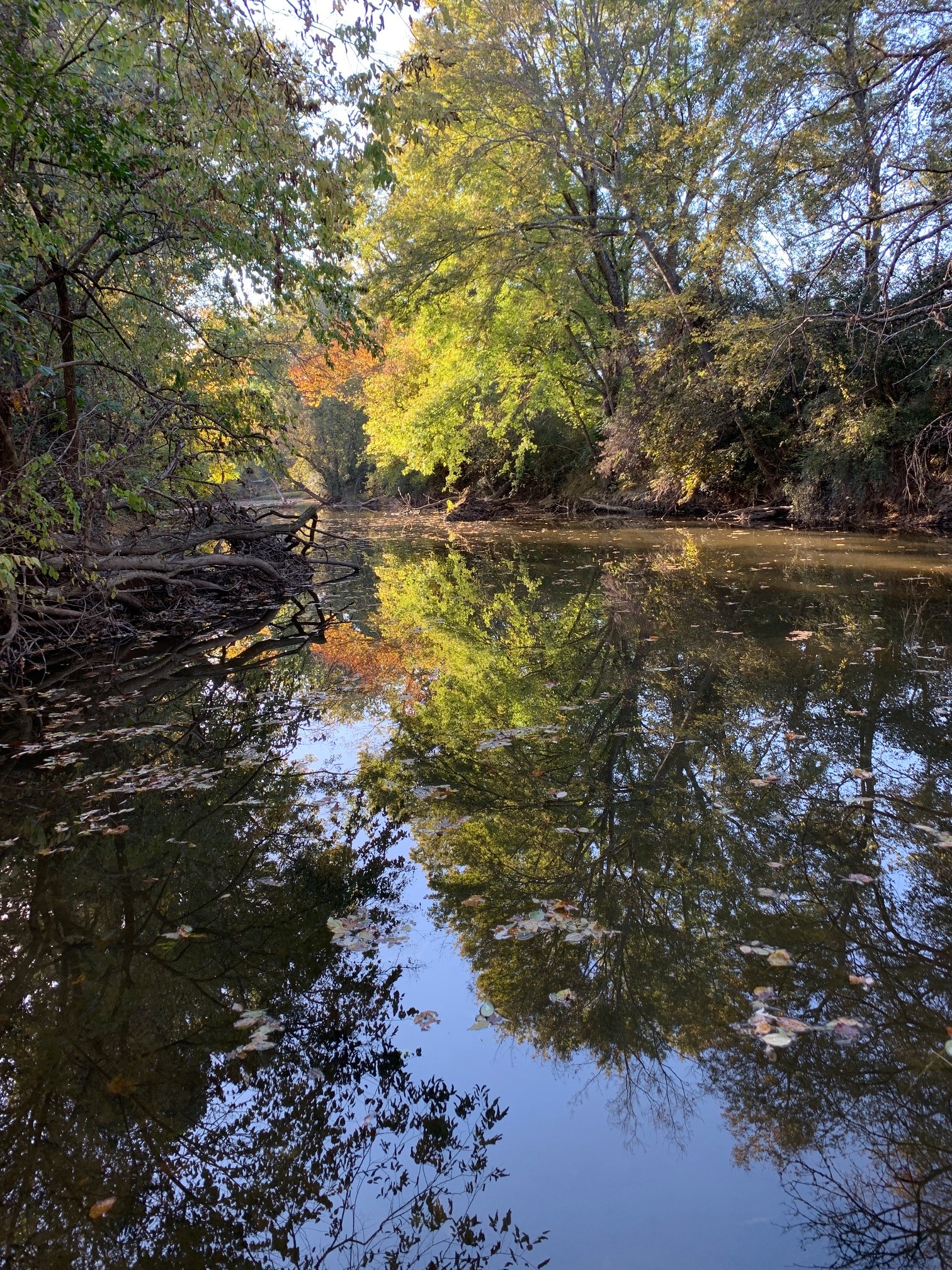 6326 Arno Road Franklin, TN 37064 - Photo 59 of 67