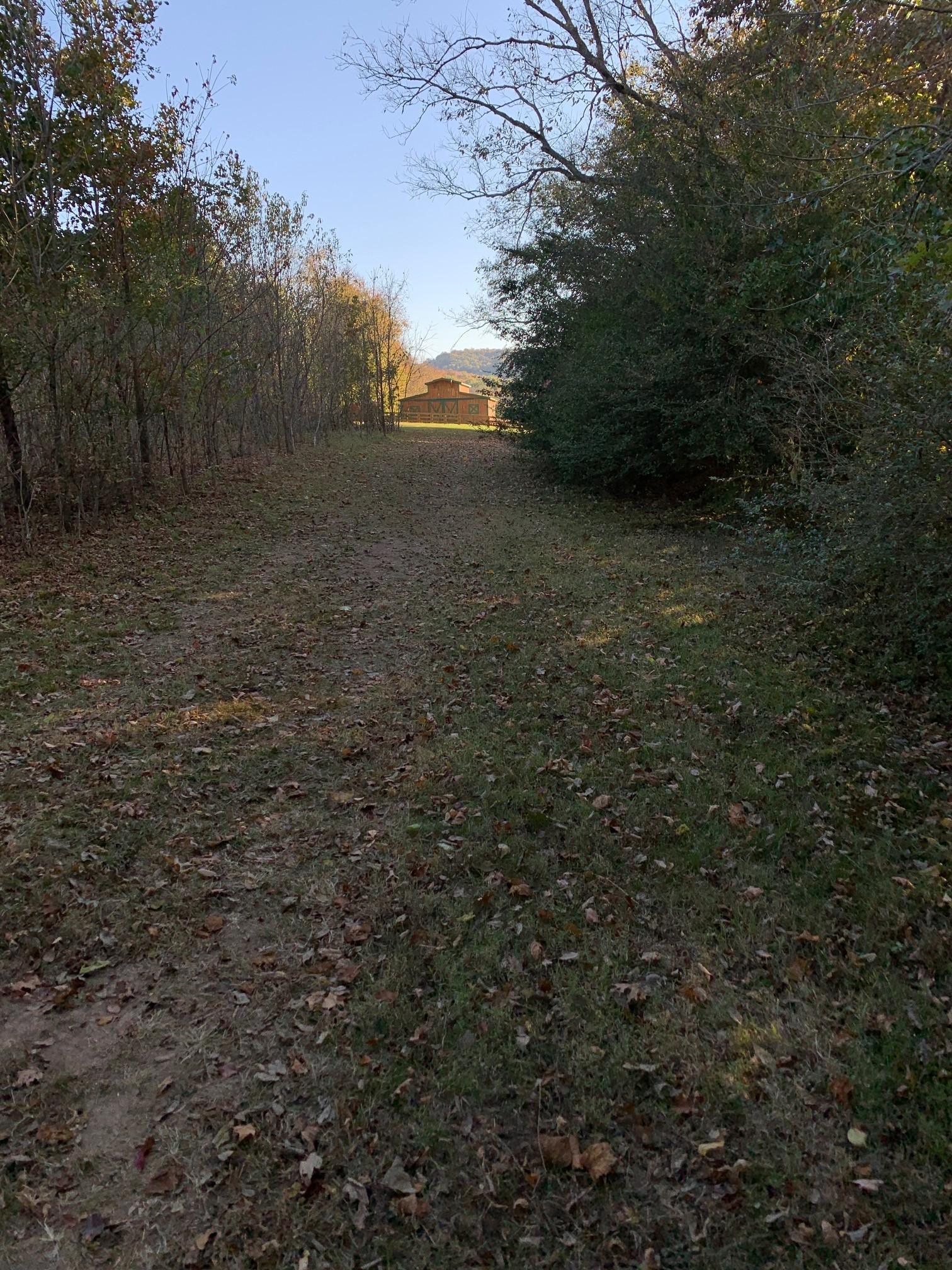 6326 Arno Road Franklin, TN 37064 - Photo 64 of 67 a view of outdoor space and yard