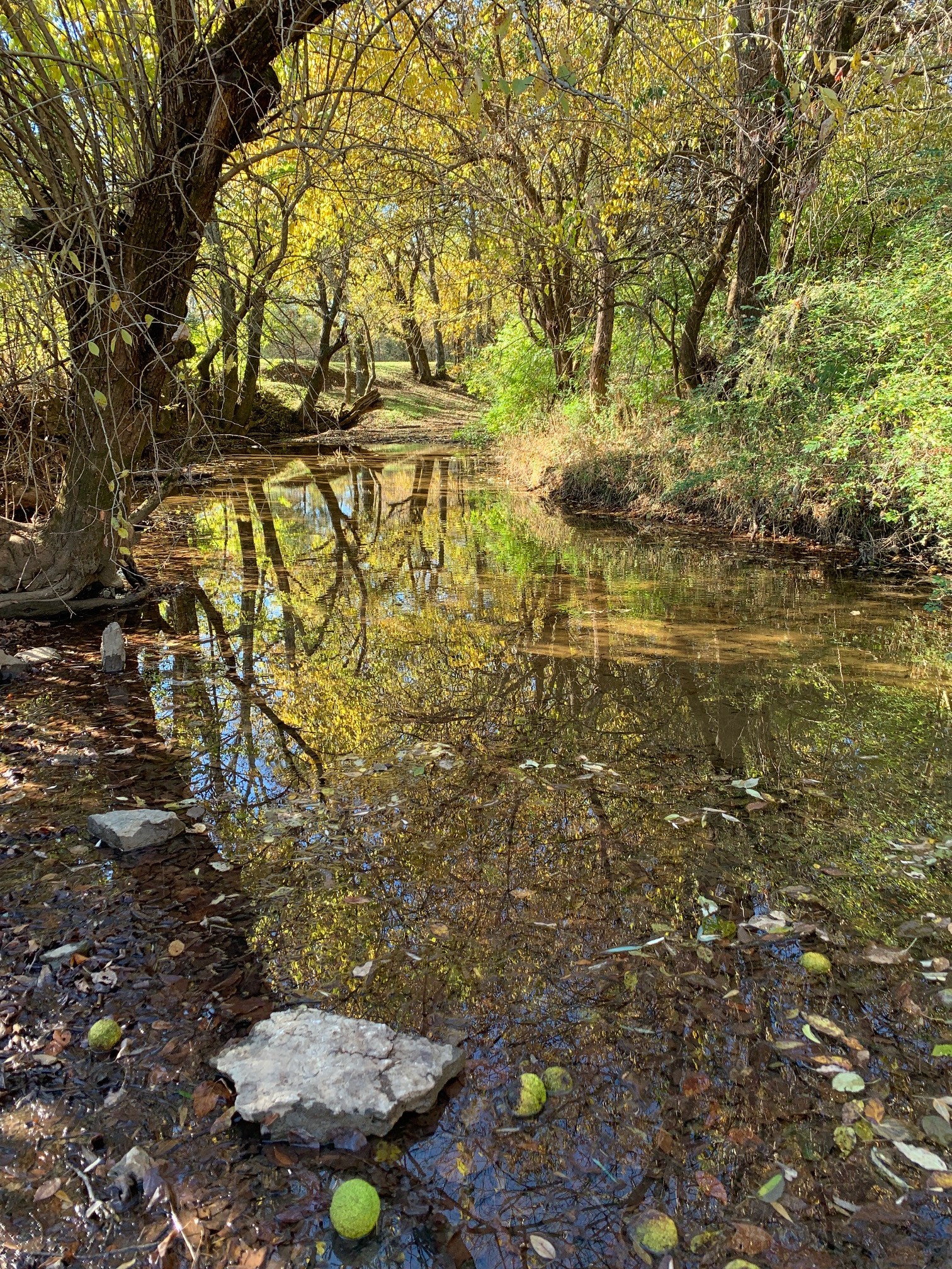 6326 Arno Road Franklin, TN 37064 - Photo 66 of 67