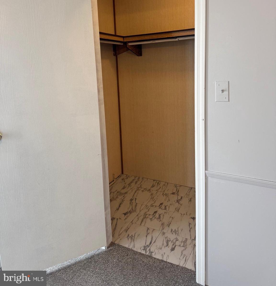 100 Roundup Road Baltimore, MD 21220 - Photo 14 of 29 Master Closet