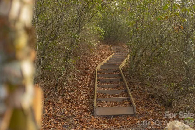 a view of a house with a big yard and large trees