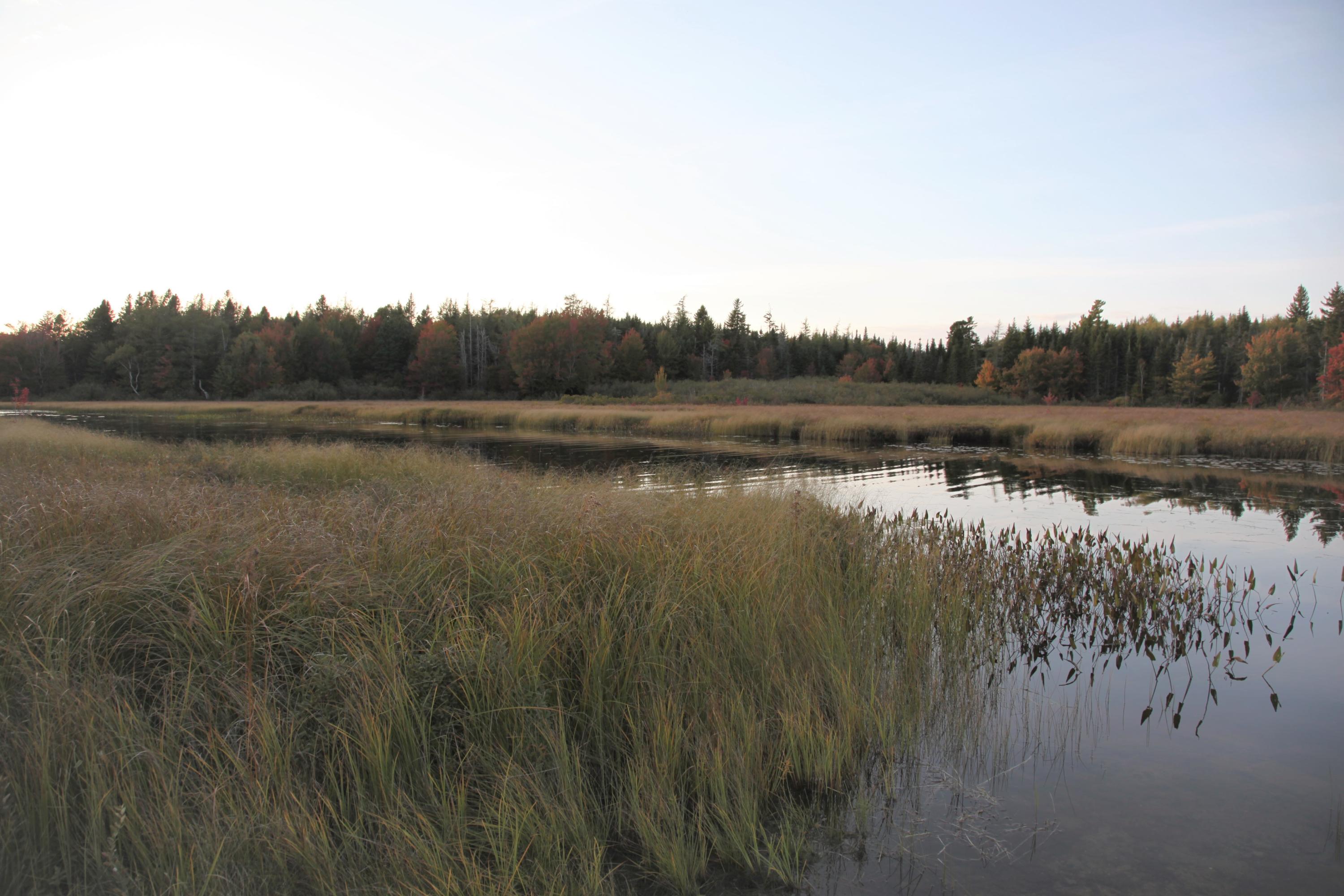 190 Orange Lake Road Whiting, ME 04691 - Photo 32 of 72 IMG_0696