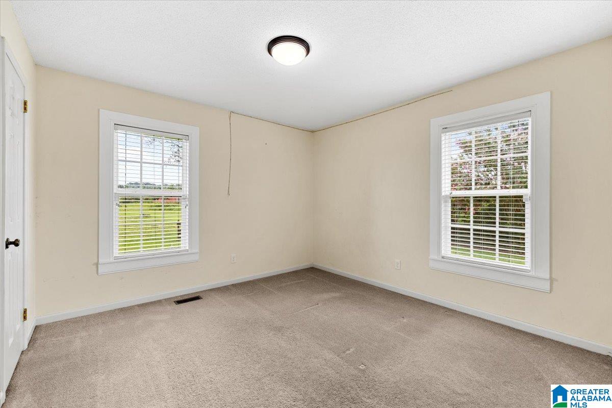270 Reneau Road Oneonta, AL 35121 - Photo 20 of 38