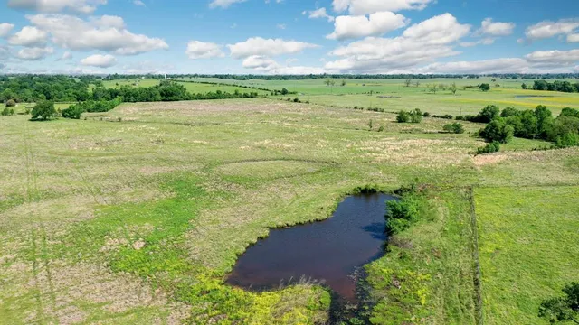 a view of a field with an ocean
