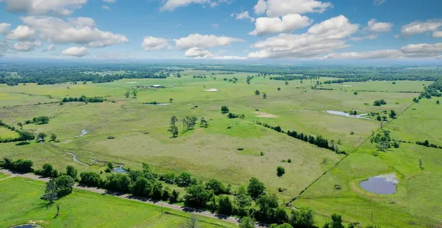 a view of a field with an ocean