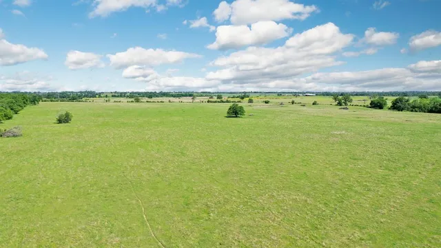 a view of a large body of water with lots of green space