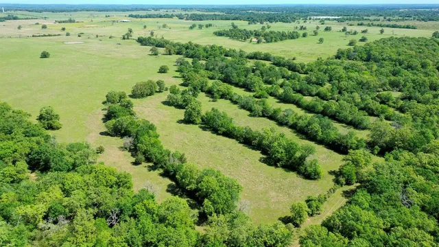 an aerial view of a houses with a yard
