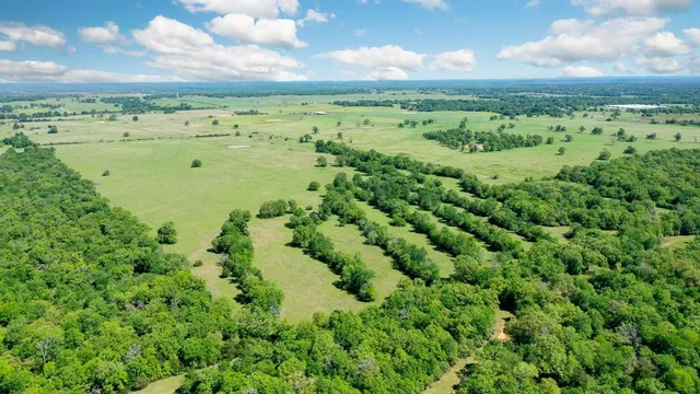 a view of a green field with lots of green space