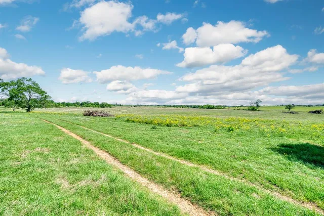 a view of a big yard with lots of green space