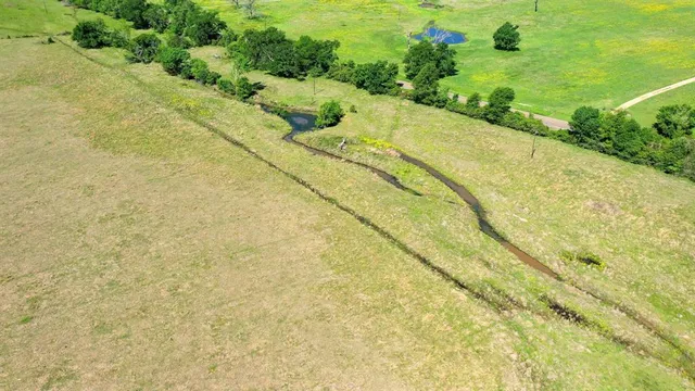 a view of a yard with plants