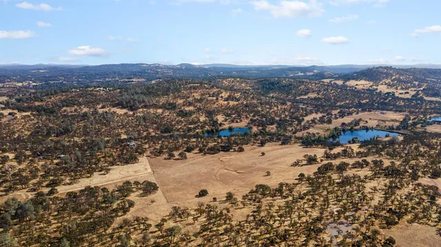 a view of a dry yard with lots of trees