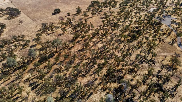 a view of city and mountain